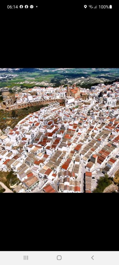 Agriturismo Terranova 皮斯蒂奇 外观 照片