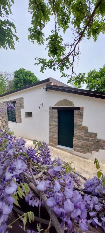 Agriturismo Terranova 皮斯蒂奇 外观 照片