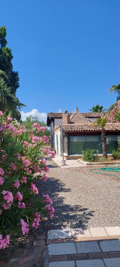 Agriturismo Terranova 皮斯蒂奇 外观 照片