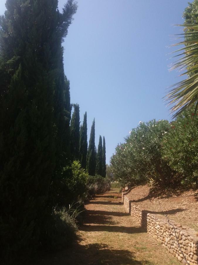 Agriturismo Terranova 皮斯蒂奇 外观 照片