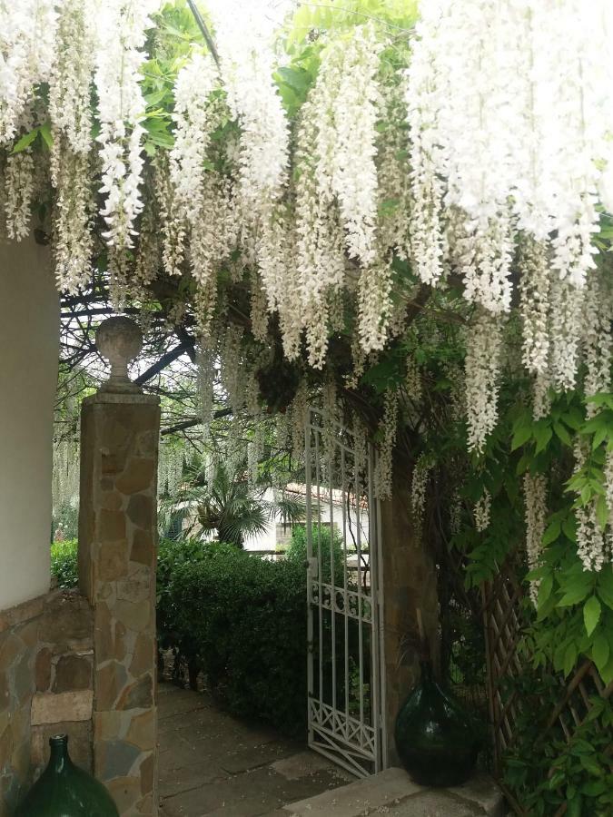Agriturismo Terranova 皮斯蒂奇 外观 照片